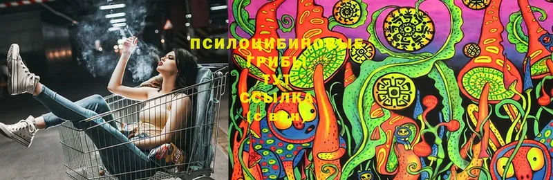 Галлюциногенные грибы Magic Shrooms  Каспийск 